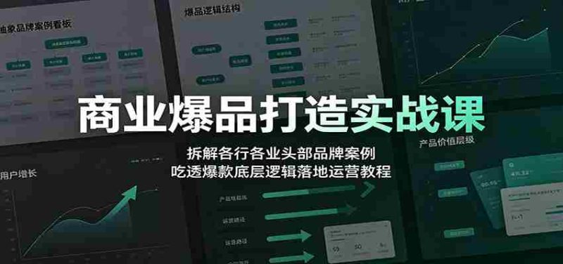 商业爆品打造实战课：拆解各行各业头部品牌案例，吃透爆款底层逻辑落地运营教程-优光资源网