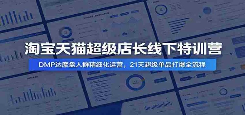 淘宝天猫超级店长线下特训营：DMP达摩盘人群精细化运营，21天超级单品打爆全流程-优光资源网