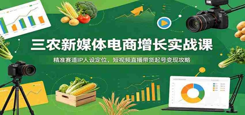 三农新媒体电商增长实战课：精准赛道IP人设定位，短视频直播带货起号变现攻略-优光资源网