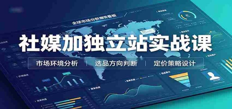 社媒加独立站实战课：市场环境选品定价，社媒运营建站，私域网红营销教学-优光资源网